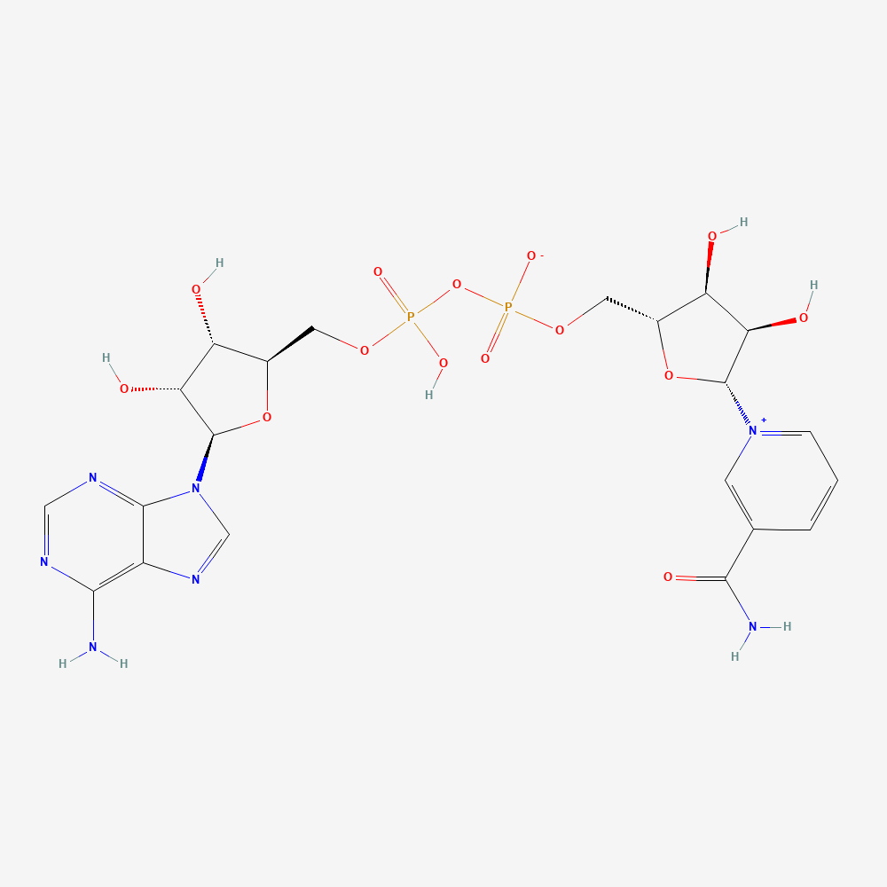 Structure moléculaire 2D — NAD+